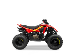 Atv Cfmoto 110